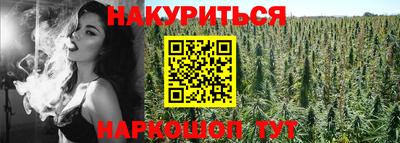 ПСИЛОЦИБИНОВЫЕ ГРИБЫ Краснодар