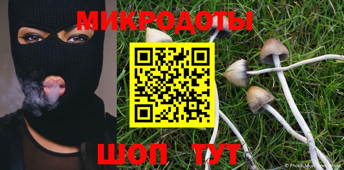 Псилоцибиновые грибы Psilocybine cubensis Сегежа