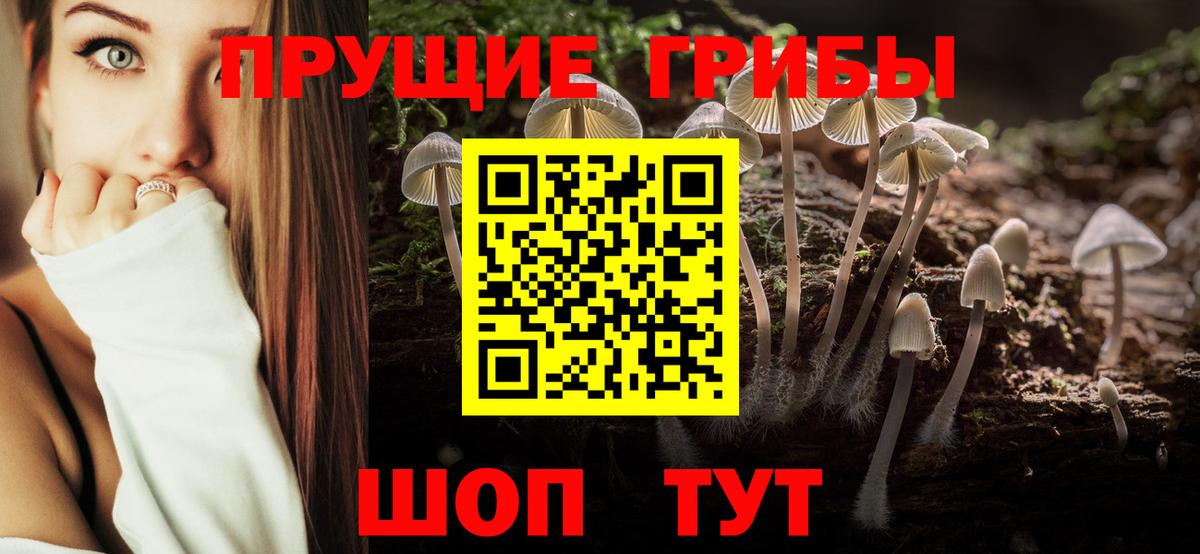 Псилоцибиновые грибы ЛСД  Галлюциногенные грибы GOLDEN TEACHER  Вход с VPN  Сегежа 